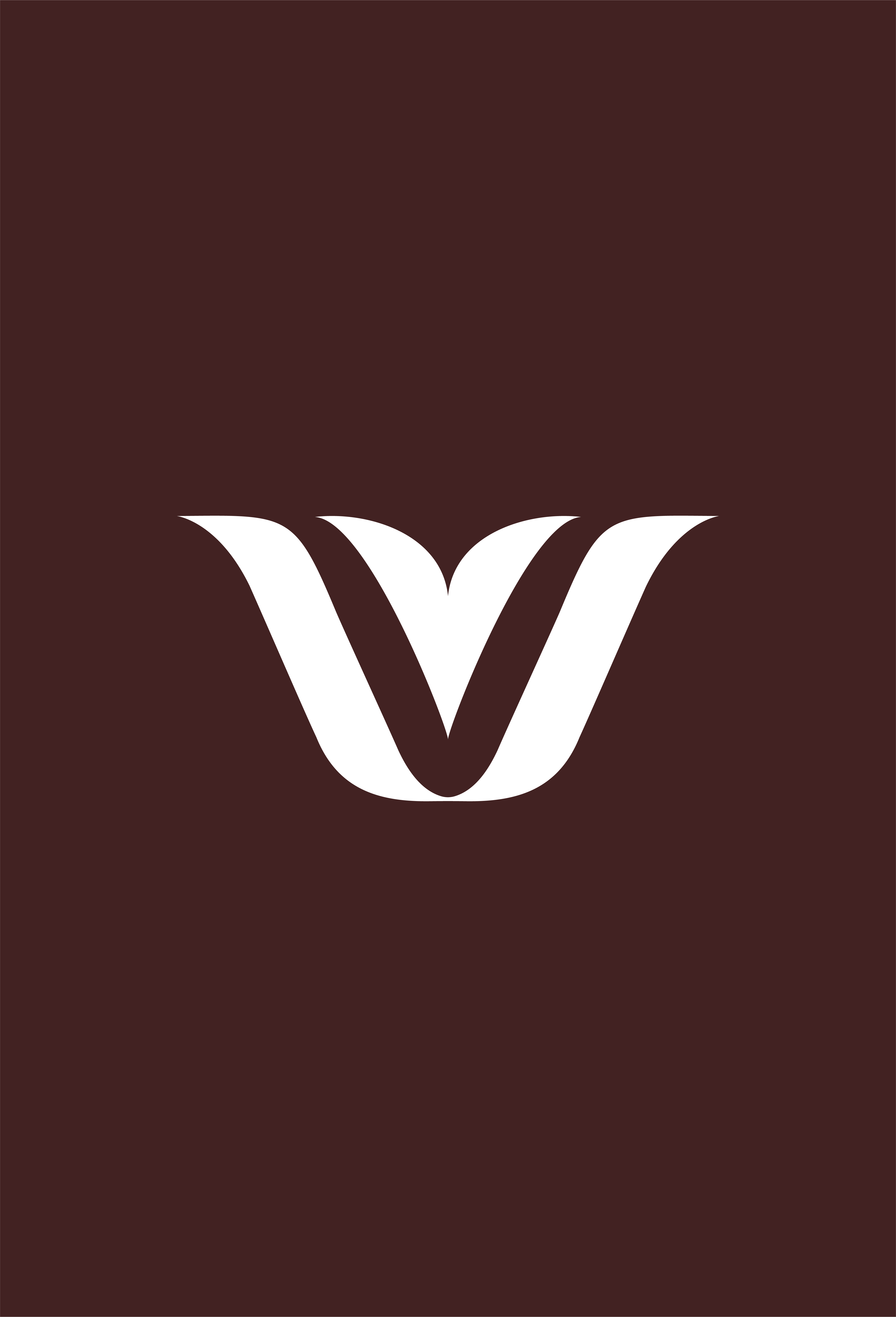 Viola studio visual