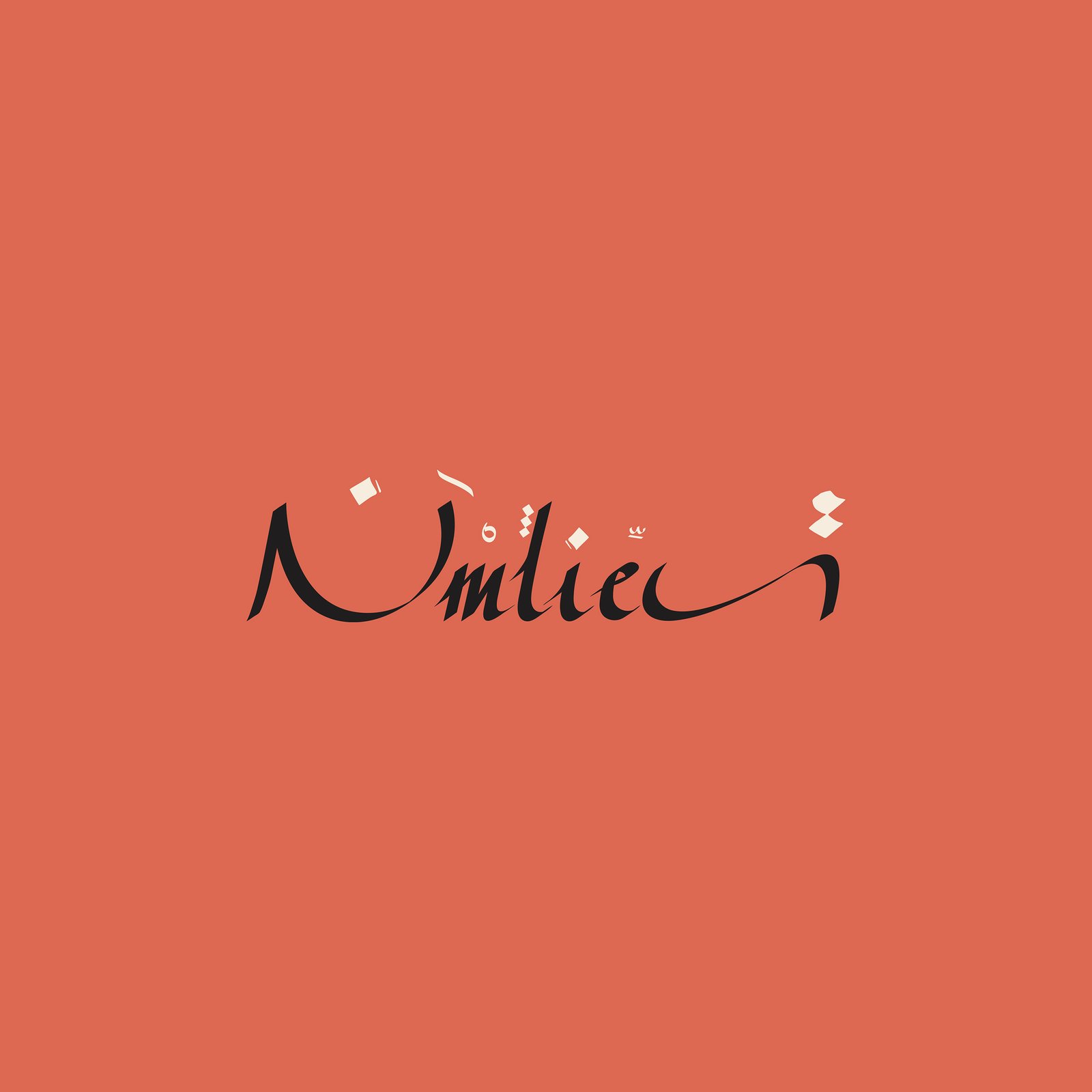 Web development showcase